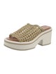 Robert Clergerie Raffia Lasercut Accents Slides