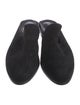Robert Clergerie Suede Mules