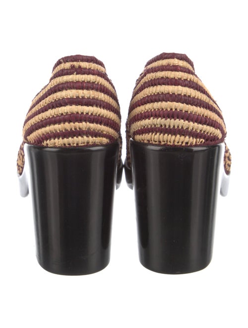 Robert Clergerie Raffia Printed Pumps
