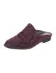 Robert Clergerie Velvet Mules