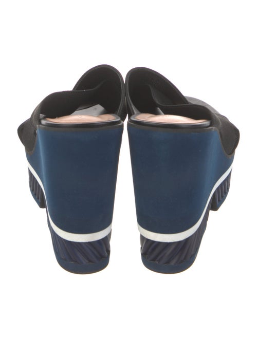 Robert Clergerie Slides