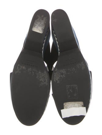 Robert Clergerie Slides