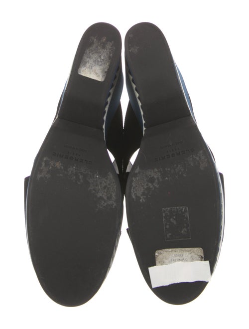 Robert Clergerie Slides