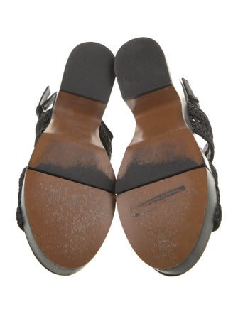 Robert Clergerie Raffia Slingback Sandals