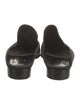 Robert Clergerie Suede Mules