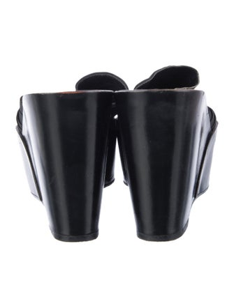 Robert Clergerie Slides