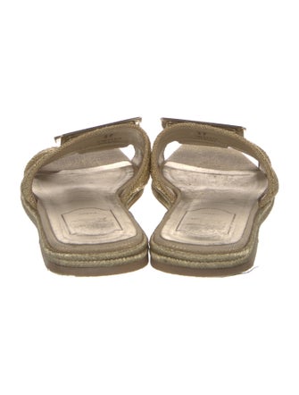 Robert Clergerie Slides