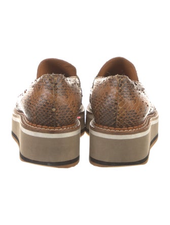 Robert Clergerie Snakeskin Sneakers