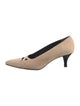 Robert Clergerie Suede Pumps