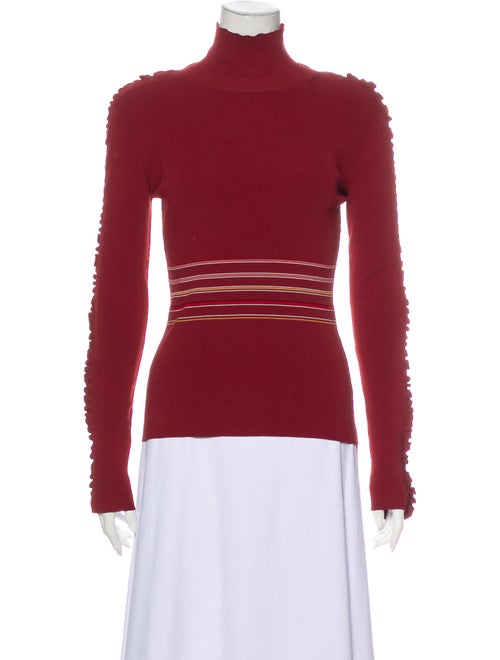 Roksanda Striped Turtleneck Sweater