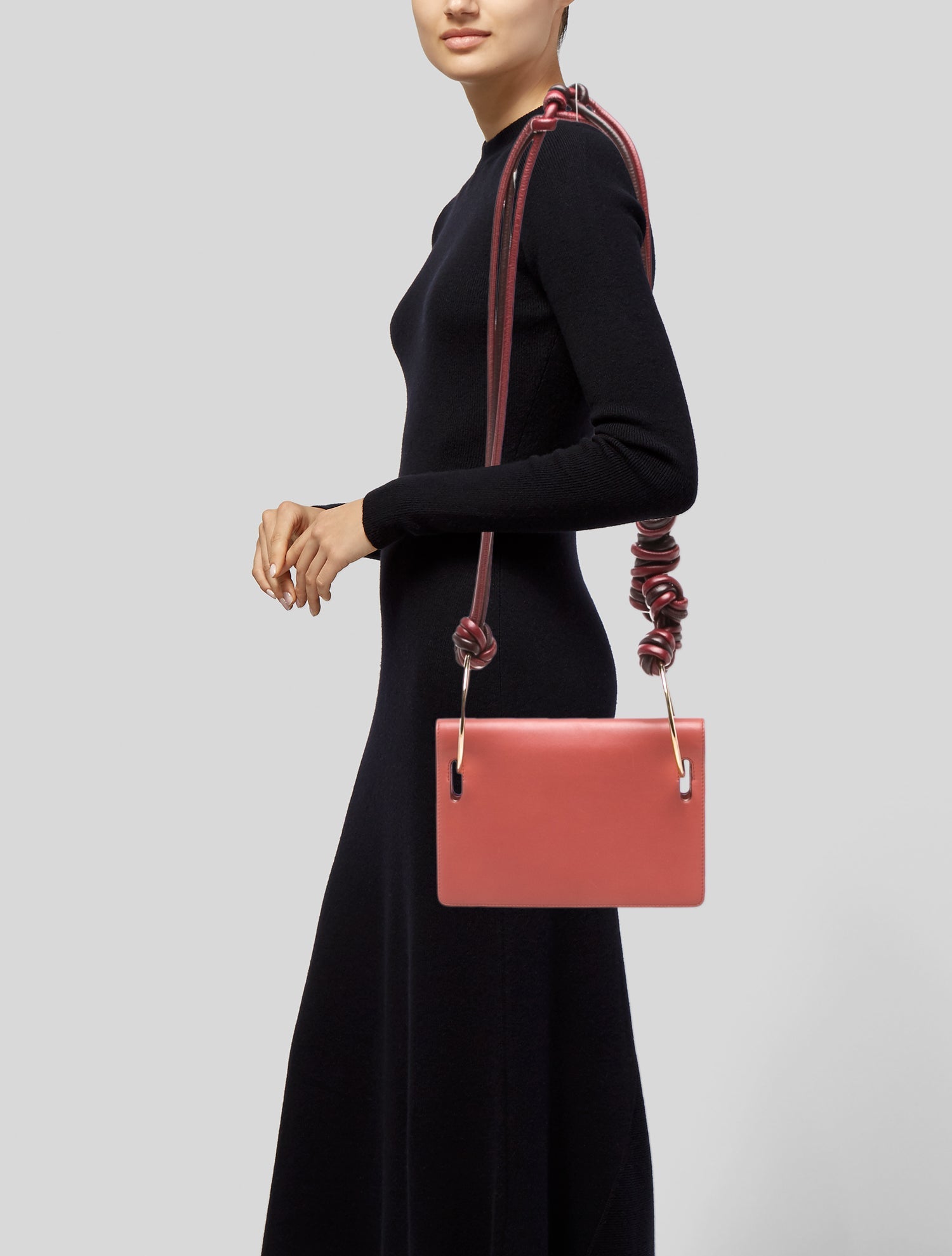 Roksanda Leather Crossbody Bag