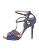 Roger Vivier Suede T-Strap Sandals