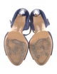 Roger Vivier Suede T-Strap Sandals