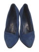 Roger Vivier Suede Pumps