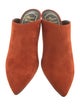 Roger Vivier Suede Mules