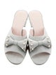 Roger Vivier Suede Bow Accents Slides