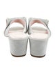Roger Vivier Suede Bow Accents Slides