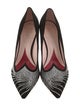 Roger Vivier Suede Crystal Embellishments Pumps