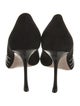 Roger Vivier Suede Crystal Embellishments Pumps