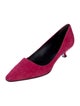Roger Vivier Suede Pumps