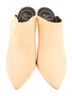 Roger Vivier Suede Mules