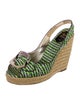 Roger Vivier Canvas Printed Espadrilles