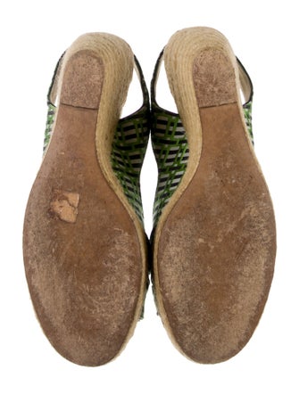 Roger Vivier Canvas Printed Espadrilles