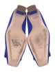 Roger Vivier Suede Pumps
