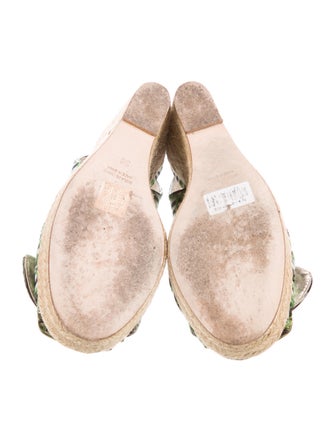 Roger Vivier Canvas Printed Espadrilles