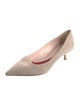 Roger Vivier Suede Pumps