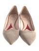 Roger Vivier Suede Pumps