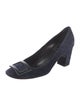 Roger Vivier Suede Pumps