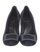 Roger Vivier Suede Pumps