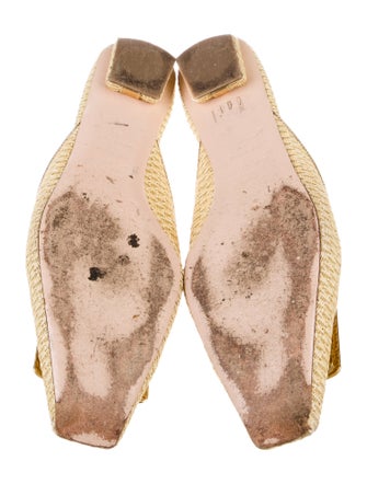 Roger Vivier Raffia Mules