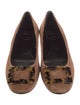 Roger Vivier Suede Ballet Flats
