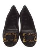 Roger Vivier Suede Flats