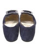 Roger Vivier Suede Ballet Flats