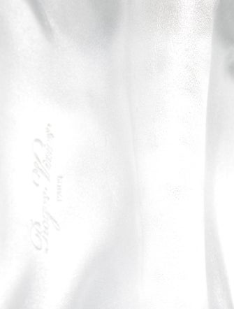 Roger Vivier Leather Minaudière