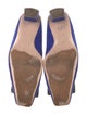 Roger Vivier Suede Pumps