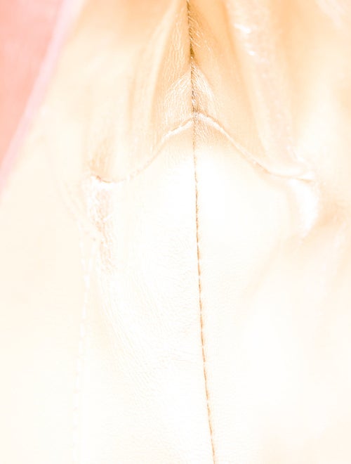 Roger Vivier Leather Minaudière