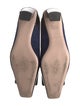 Roger Vivier Suede Pumps
