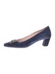 Roger Vivier Suede Pumps