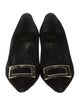 Roger Vivier Suede Pumps