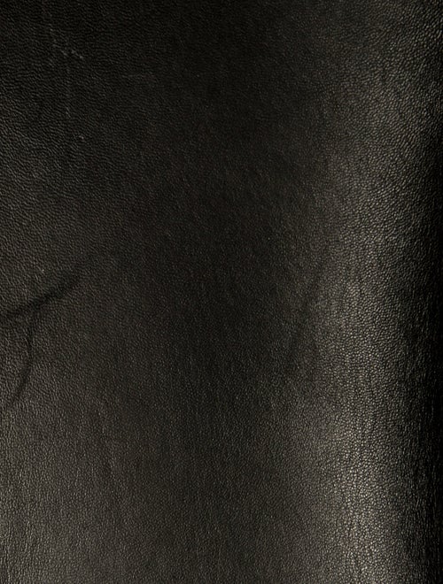 Roger Vivier Leather Shoulder Bag