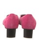 Roger Vivier Suede Pumps