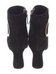 Roger Vivier Suede Boots