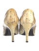 Roger Vivier Snakeskin Animal Print Pumps