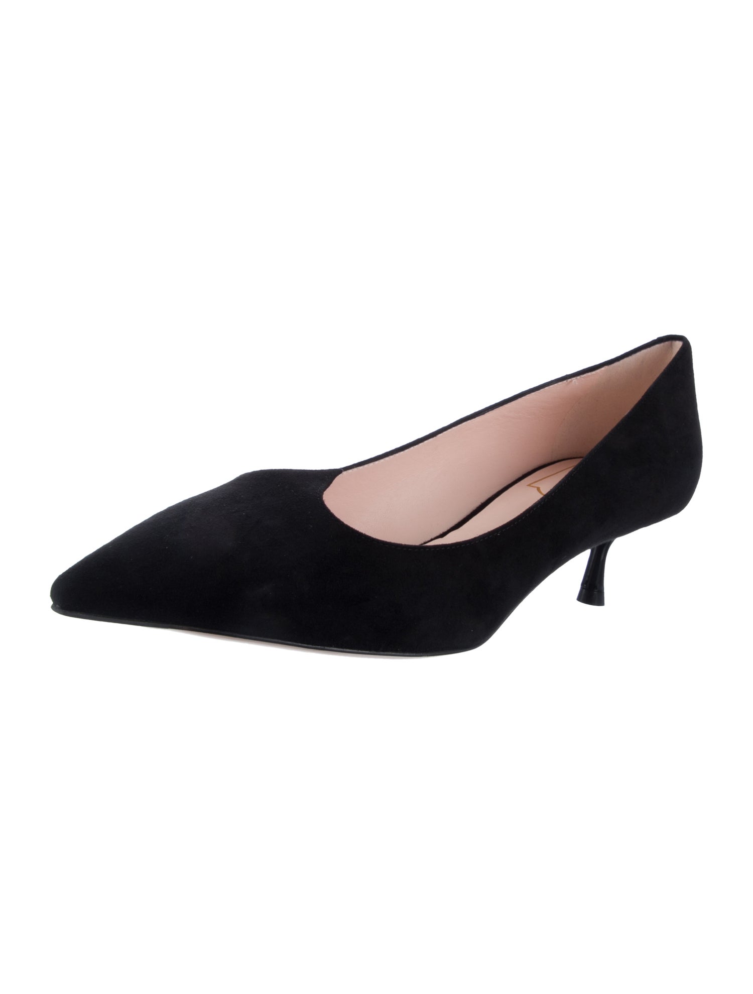 Roger Vivier Suede Pumps