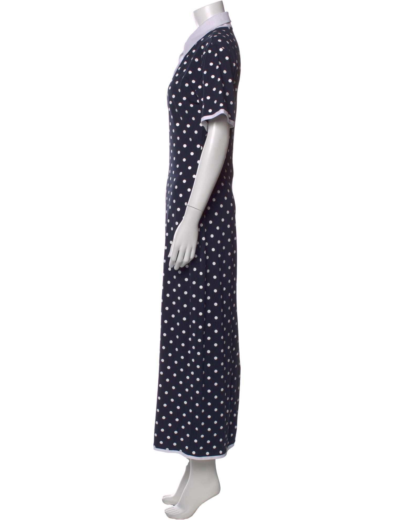 Rowen Rose Polka Dot Print Long Dress