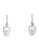Roxanne Assoulin Crystal Tear Drop Drop Hoop Earrings
